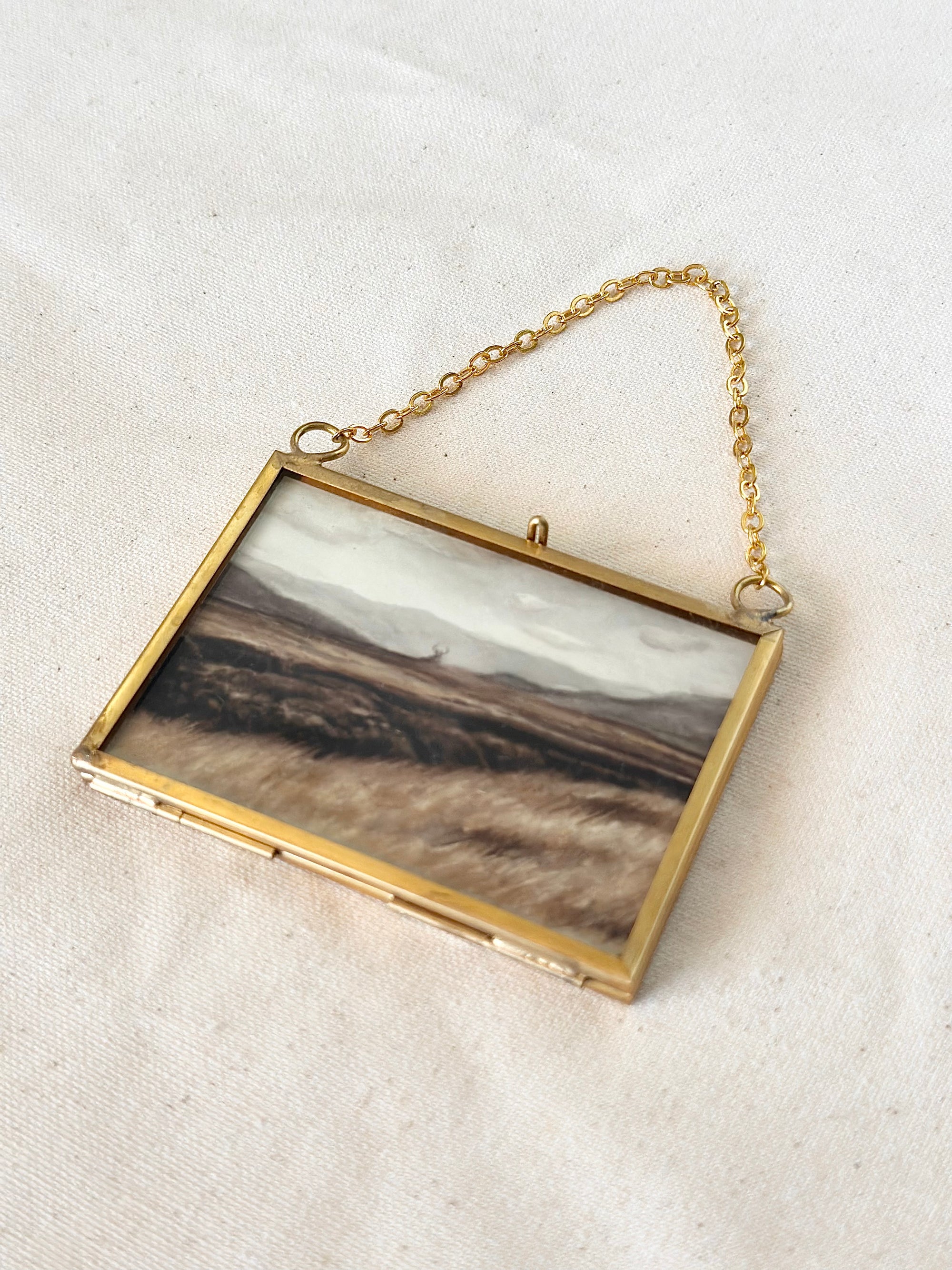Lone Stag  - Fine Art Ornament