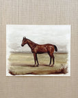 Vintage English Horses (2) - Watercolor Giclée Paper Prints