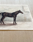 Vintage English Horses (2) - Watercolor Giclée Paper Prints