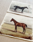 Vintage English Horses (2) - Watercolor Giclée Paper Prints