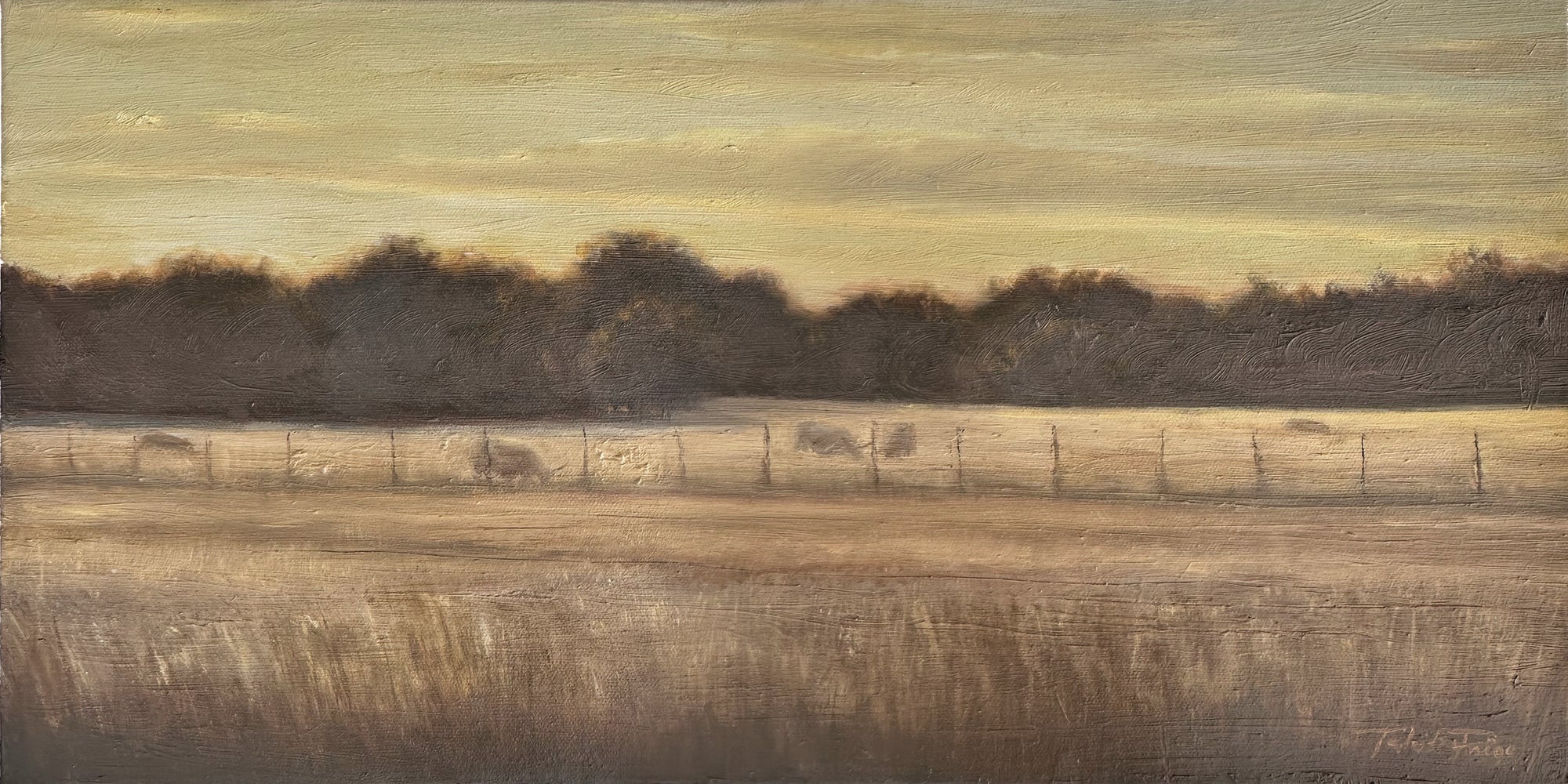 Fields of Gold - Original Oil Painting