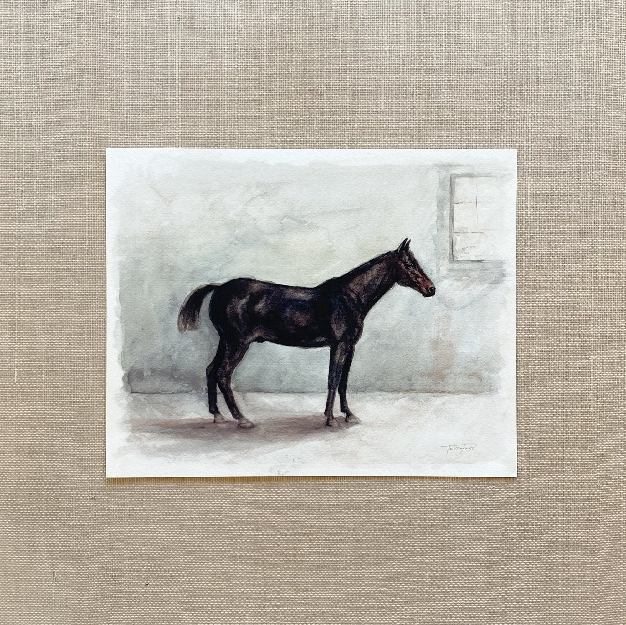 Chester - Watercolor Giclée Paper Print