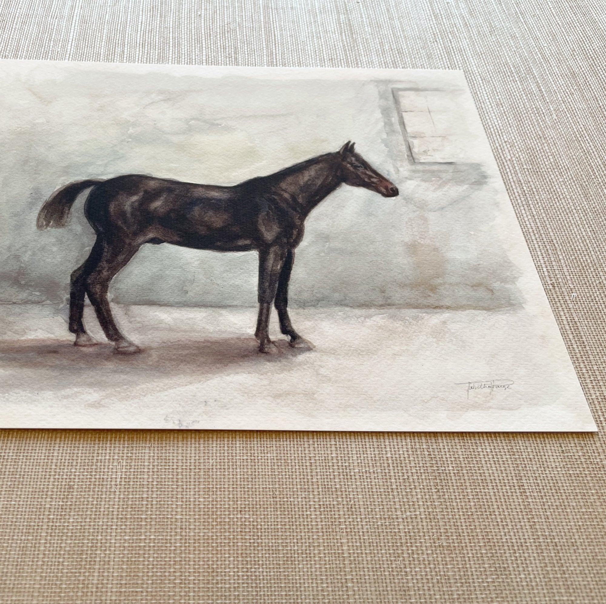 Chester - Watercolor Giclée Paper Print